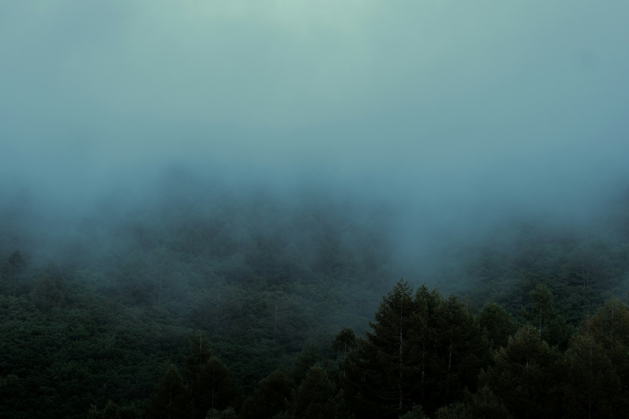 The Carbon Capture Mirage: Why We’re Betting on a Fantasy – Collapse 2050